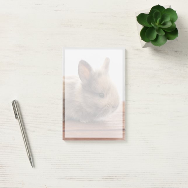 Cutest Baby Animals | Tiny Baby Bunny Post-it Notes (Office)