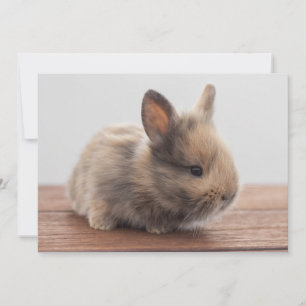 Cutest Baby Animals Tiny Baby Bunny Thank You Card
