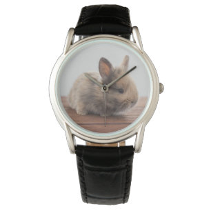 Cutest Baby Animals Tiny Baby Bunny Watch