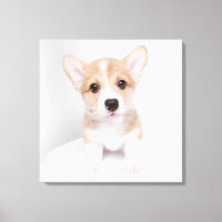 Cutest Baby Animals | Tiny Corgi