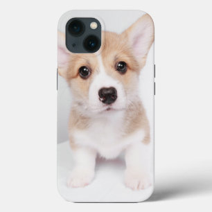 Cutest Baby Animals   Tiny Corgi iPhone 13 Case