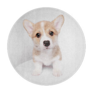 Cutest Baby Animals Tiny Corgi Cutting Board