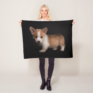 Cutest Baby Animals   Tiny Corgi Fleece Blanket