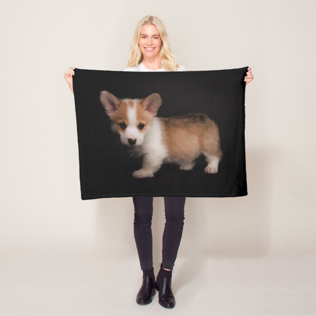 Cutest Baby Animals | Tiny Corgi Fleece Blanket (In Situ)