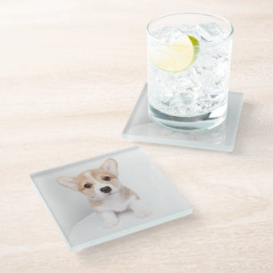 Cutest Baby Animals Tiny Corgi Glass Coaster