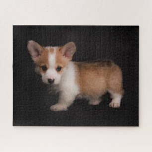 Cutest Baby Animals   Tiny Corgi Jigsaw Puzzle