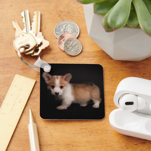 Cutest Baby Animals | Tiny Corgi Key Ring (Desk)
