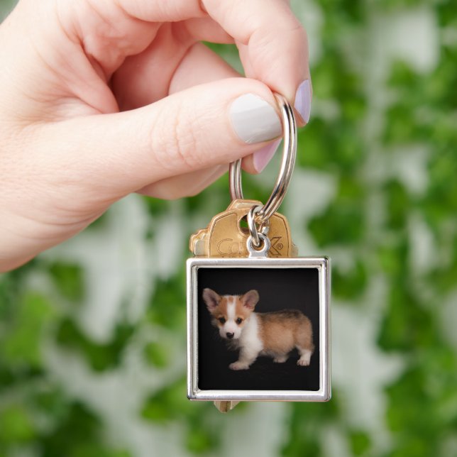 Cutest Baby Animals | Tiny Corgi Key Ring (Hand)