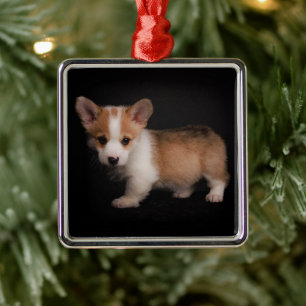 Cutest Baby Animals Tiny Corgi Metal Tree Decoration