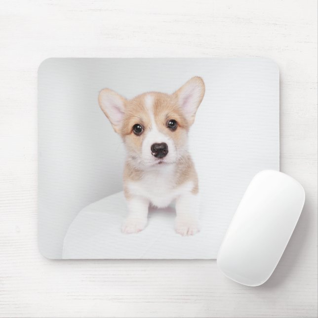 Cutest Baby Animals | Tiny Corgi Mouse Mat (With Mouse)