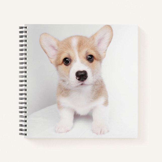 Cutest Baby Animals | Tiny Corgi Notebook (Front)