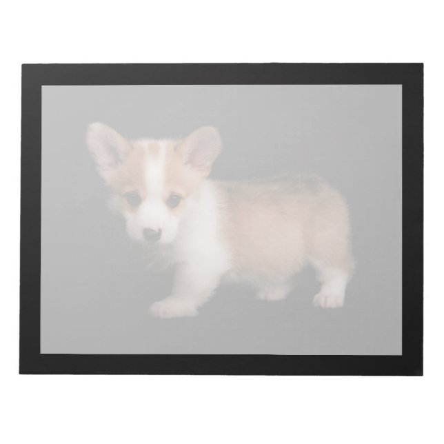 Cutest Baby Animals | Tiny Corgi Notepad (Front)