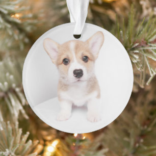 Cutest Baby Animals Tiny Corgi Ornament