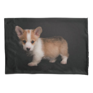 Cutest Baby Animals   Tiny Corgi Pillowcase