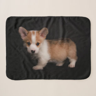 Cutest Baby Animals   Tiny Corgi Sherpa Blanket