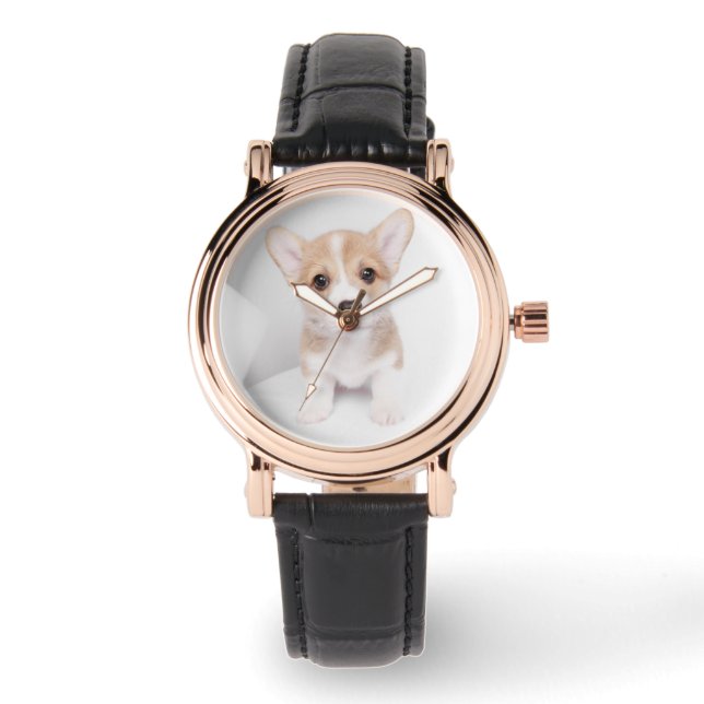 Cutest Baby Animals | Tiny Corgi Watch (Front)