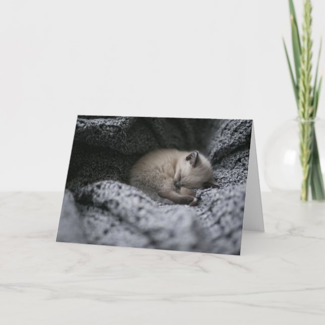Cutest Baby Animals | Tiny Kitten Sleeping Card (Front)