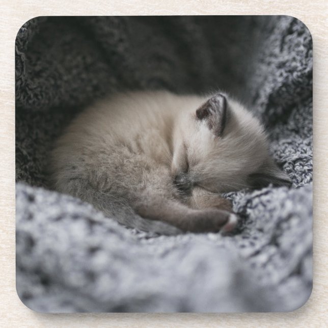 Cutest Baby Animals | Tiny Kitten Sleeping Coaster (Front)