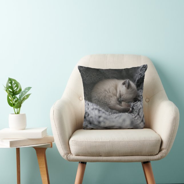 Cutest Baby Animals | Tiny Kitten Sleeping Cushion (Chair)