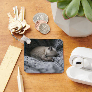 Cutest Baby Animals Tiny Kitten Sleeping Key Ring