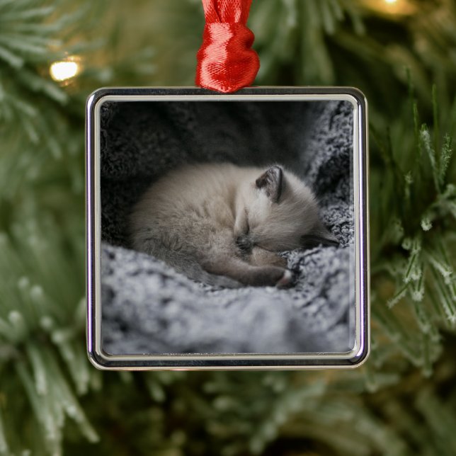 Cutest Baby Animals | Tiny Kitten Sleeping Metal Tree Decoration (Tree)
