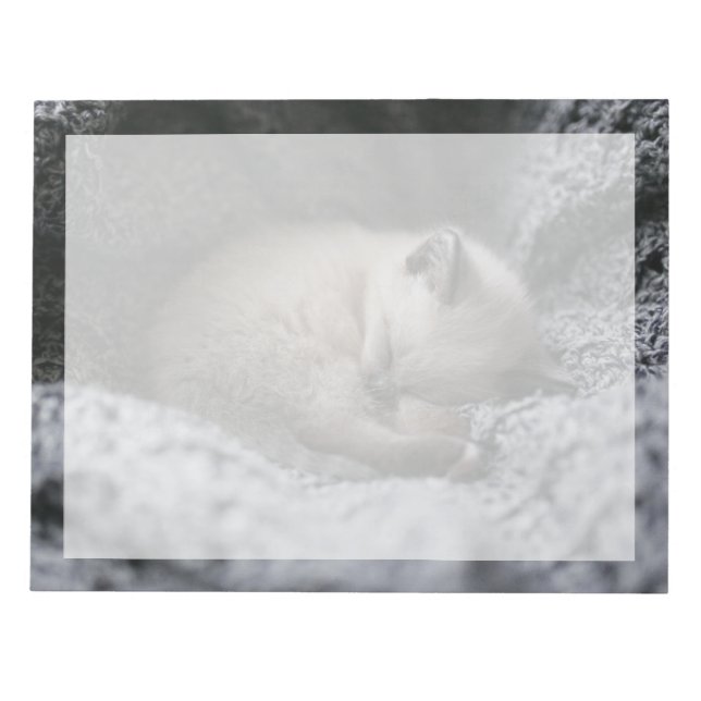 Cutest Baby Animals | Tiny Kitten Sleeping Notepad (Front)