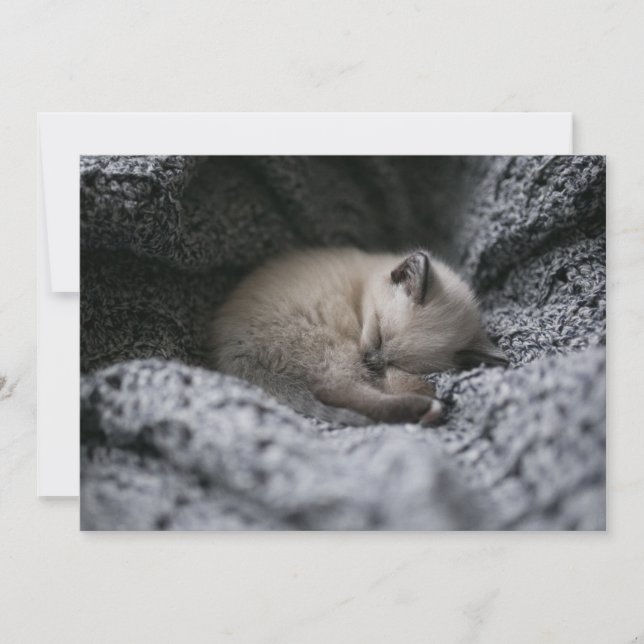 Cutest Baby Animals | Tiny Kitten Sleeping Thank You Card (Front)