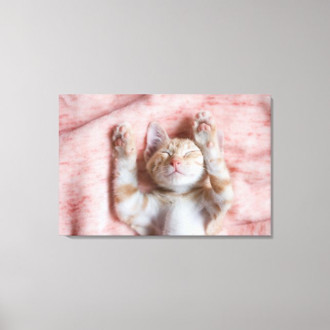 Cutest Baby Animals | Tiny Orange Striped Kitten Canvas Print (Front)