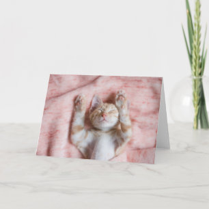 Cutest Baby Animals Tiny Orange Striped Kitten Card