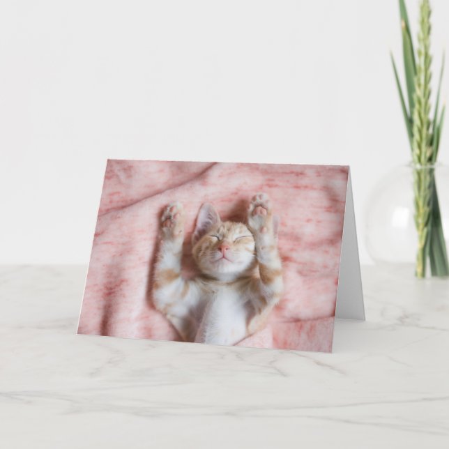 Cutest Baby Animals | Tiny Orange Striped Kitten Card (Front)