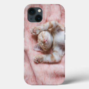Cutest Baby Animals   Tiny Orange Striped Kitten iPhone 13 Case