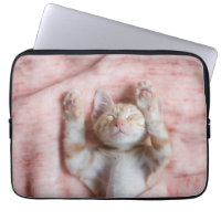 Cutest Baby Animals | Tiny Orange Striped Kitten