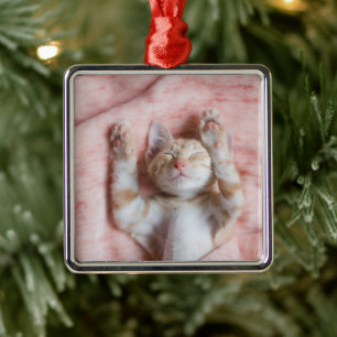 Cutest Baby Animals Tiny Orange Striped Kitten Metal Tree Decoration