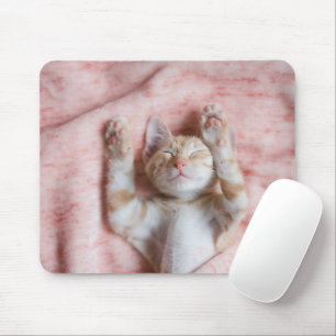 Cutest Baby Animals   Tiny Orange Striped Kitten Mouse Mat