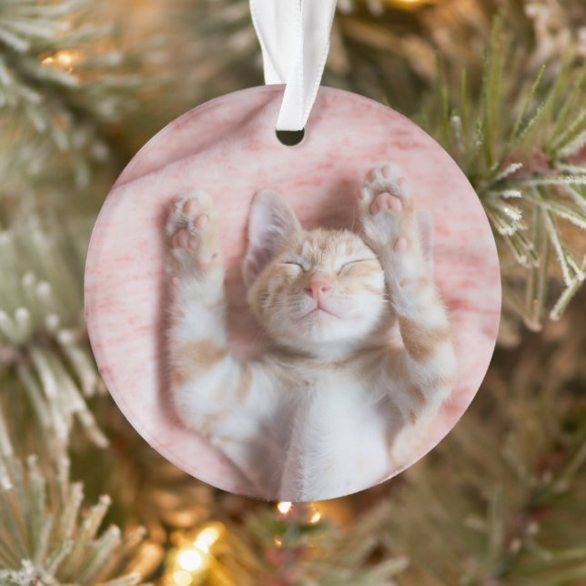 Cutest Baby Animals | Tiny Orange Striped Kitten Ornament (Tree)