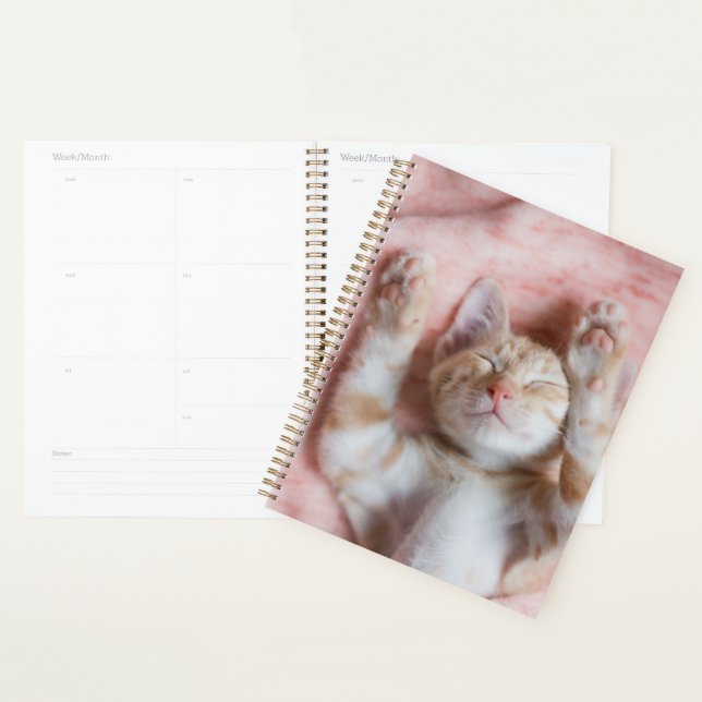 Cutest Baby Animals | Tiny Orange Striped Kitten Planner (Display)