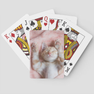 Cutest Baby Animals   Tiny Orange Striped Kitten Playing Cards