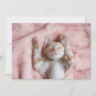 Cutest Baby Animals   Tiny Orange Striped Kitten Thank You Card