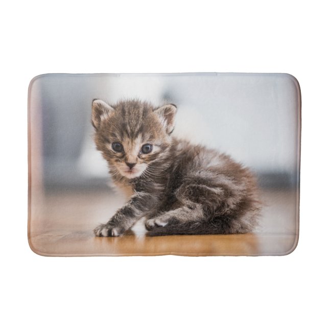Cutest Baby Animals | Tiny Tabby Kitten Bath Mat (Front)