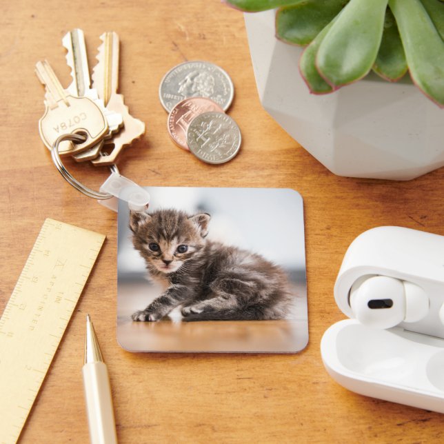 Cutest Baby Animals | Tiny Tabby Kitten Key Ring (Desk)