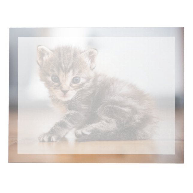 Cutest Baby Animals | Tiny Tabby Kitten Notepad (Front)