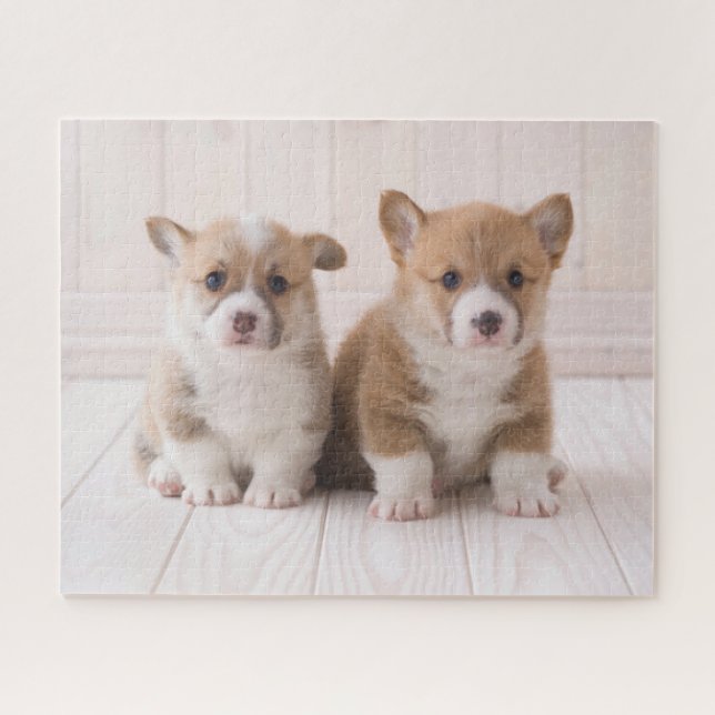 Cutest Baby Animals | Two Baby Corgis Sitting Jigsaw Puzzle (Horizontal)