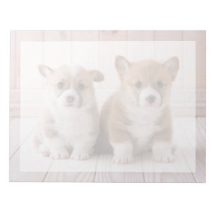 Cutest Baby Animals Two Baby Corgis Sitting Notepad