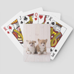 Cutest Baby Animals   Two Baby Corgis Sitting Playing Cards