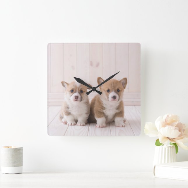 Cutest Baby Animals | Two Baby Corgis Sitting Square Wall Clock (Home)
