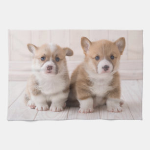 Cutest Baby Animals   Two Baby Corgis Sitting Tea Towel