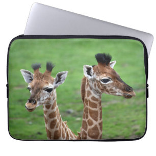 Cutest Baby Animals Two Baby Giraffes Laptop Sleeve