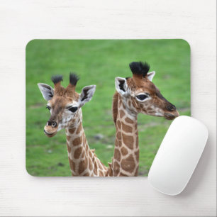 Cutest Baby Animals   Two Baby Giraffes Mouse Mat