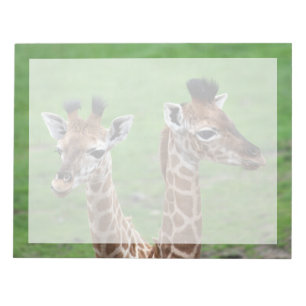 Cutest Baby Animals Two Baby Giraffes Notepad