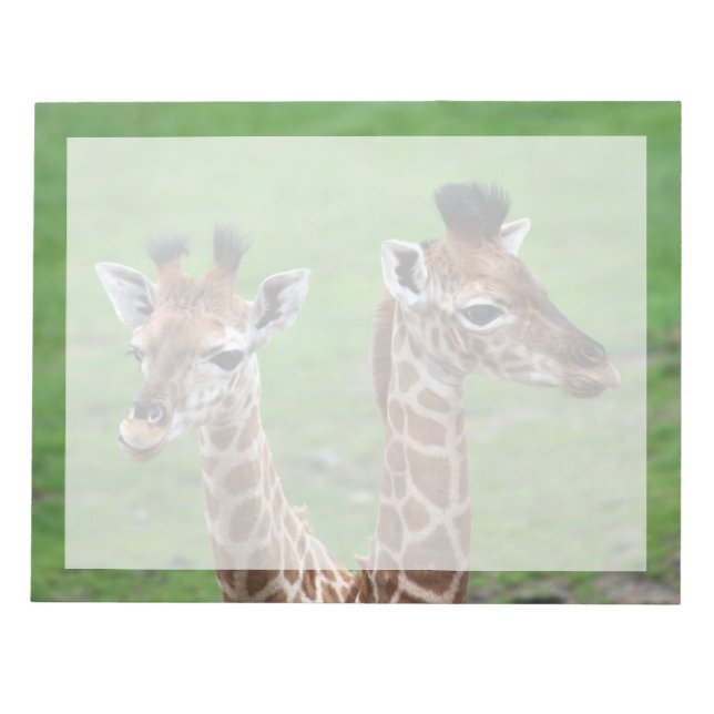 Cutest Baby Animals | Two Baby Giraffes Notepad (Front)